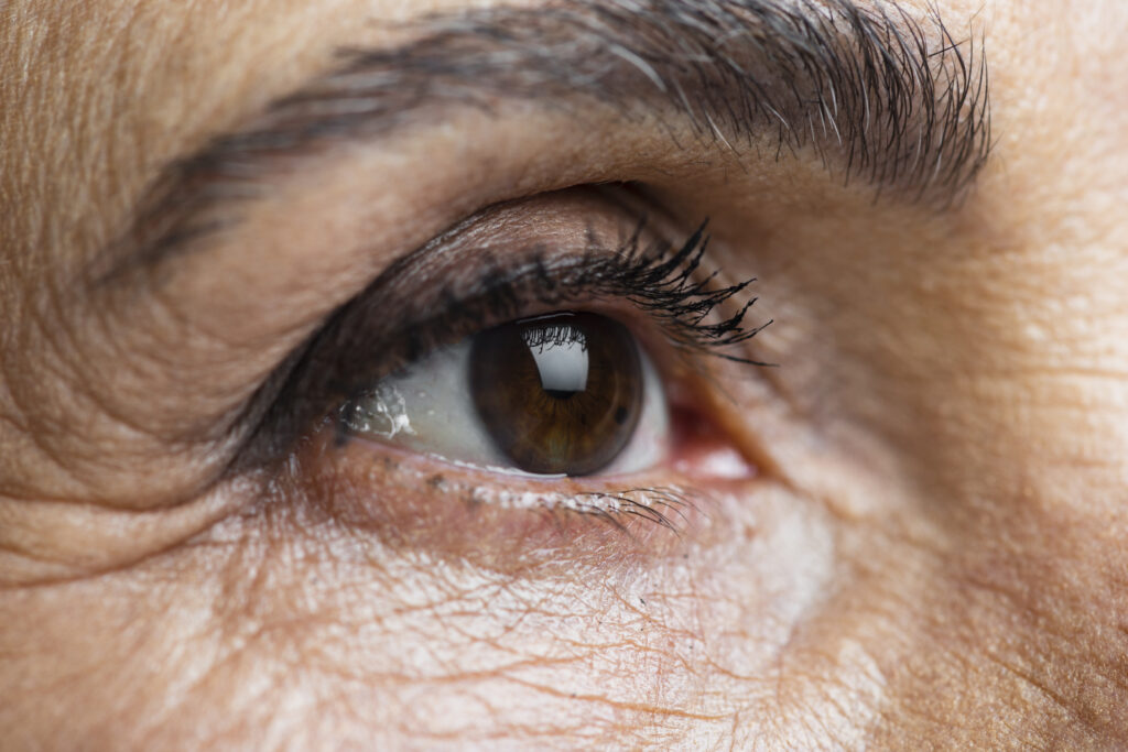 AR is Brightening Lives: Exploring the Retina and Age-Related Macular Degeneration